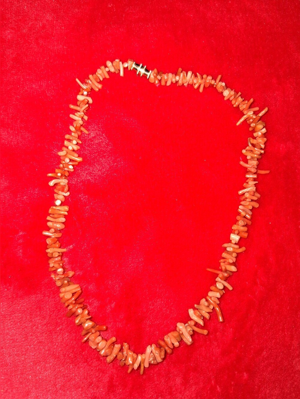 Natural Branch Coral